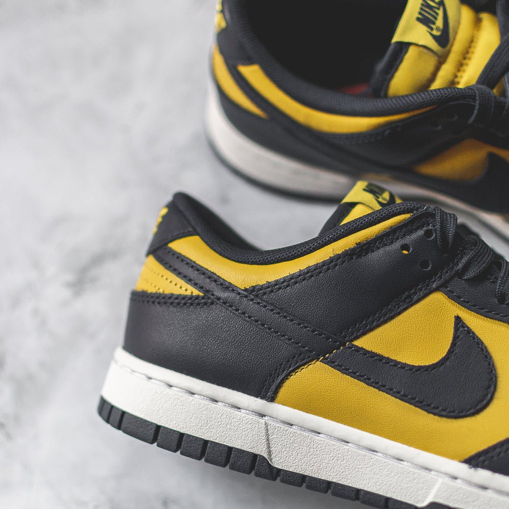 Nike Dunk Low Michigan (2021)